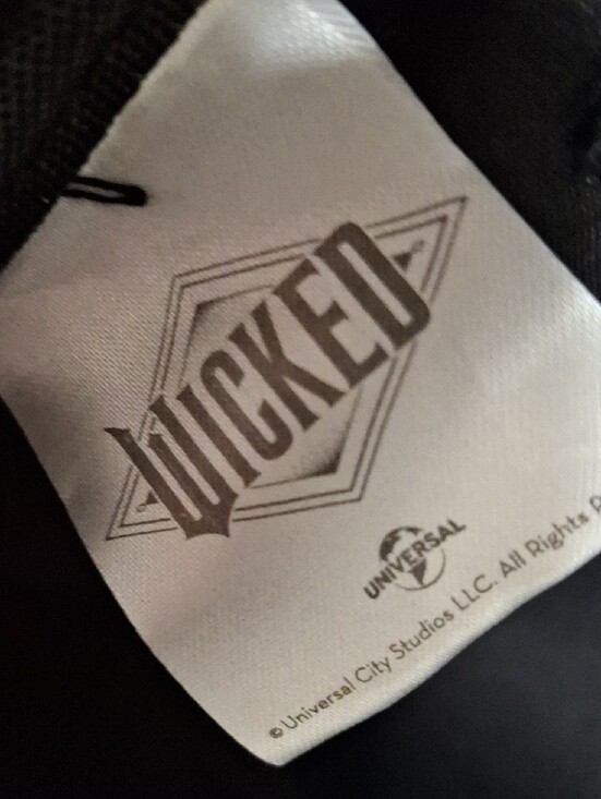 Wicked Defy Gravity Black & Green Mini Backpack